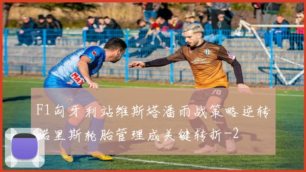 F1匈牙利站维斯塔潘雨战策略逆转诺里斯轮胎管理成关键转折