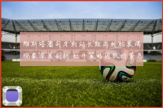 维斯塔潘匈牙利站长距离轮胎衰竭现象深度剖析 红牛策略团队的紧急响应与启示