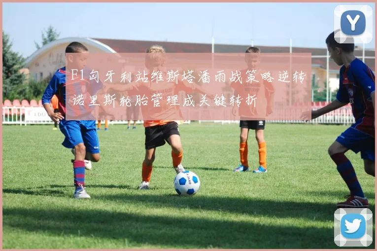 F1匈牙利站维斯塔潘雨战策略逆转诺里斯轮胎管理成关键转折