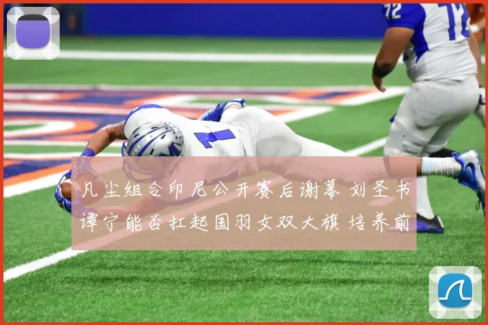凡尘组合印尼公开赛后谢幕 刘圣书谭宁能否扛起国羽女双大旗 培养前景深度解析